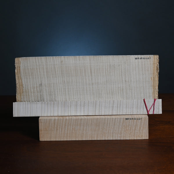 Violin back set (back, ribs, neck) #1000000567